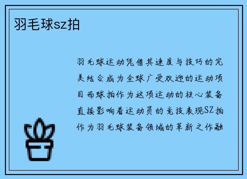 羽毛球sz拍